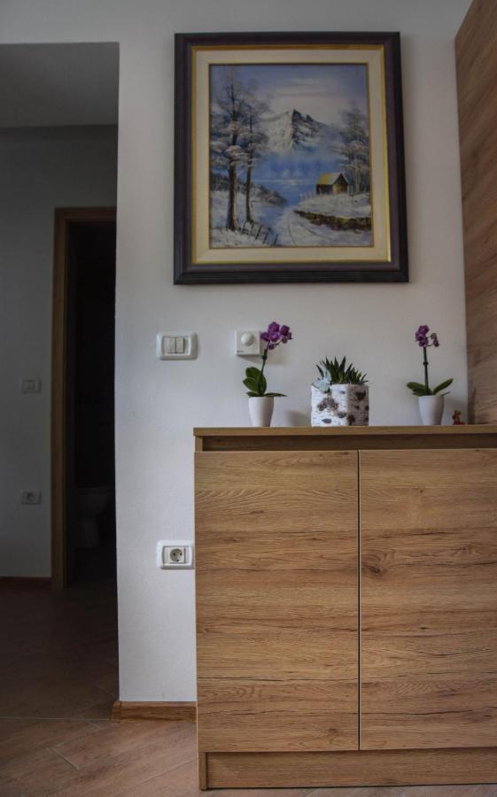Vila Hisa Bohinc Z Wellnessom Tolmin Exteriér fotografie