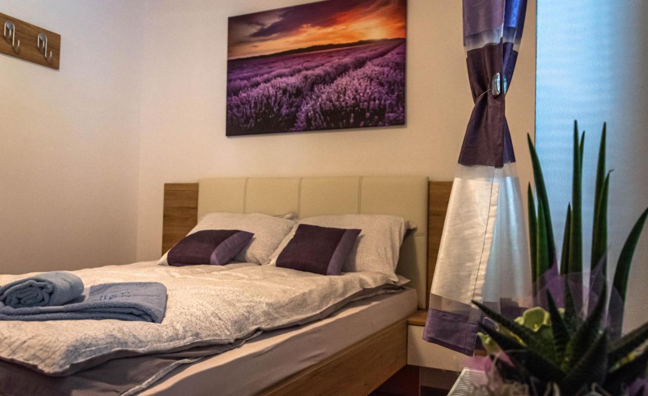 Vila Hisa Bohinc Z Wellnessom Tolmin Exteriér fotografie
